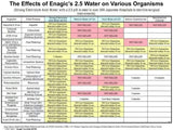 Acidic Water for skin/eczema/cleaning/hair